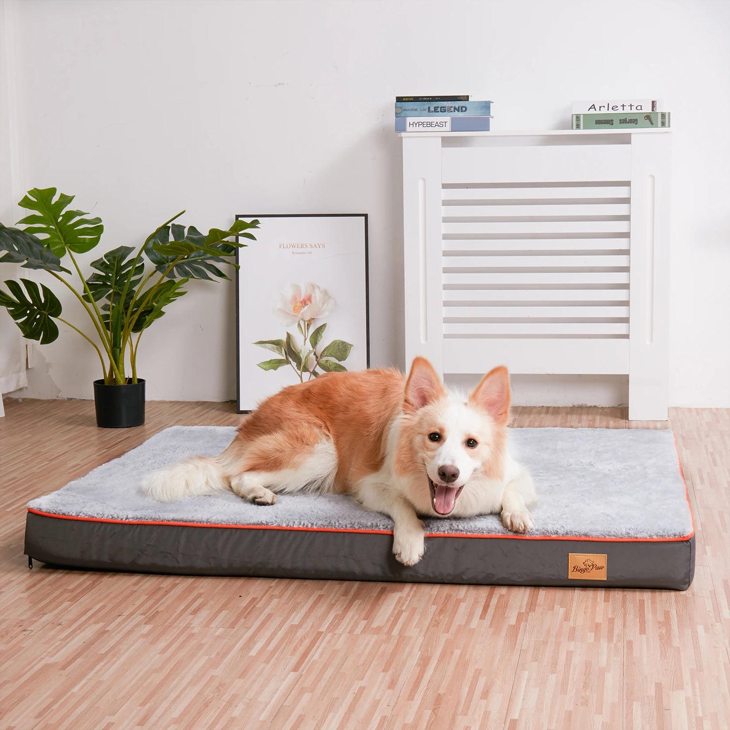 BINGOPAW Orthopedic Memory Foam Dog Bed Waterproof Non-Skid Bottom