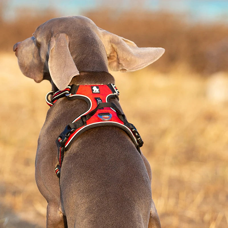 TRUELOVE Reflective Nylon Dog Harness No Pull Adjustable All Breeds