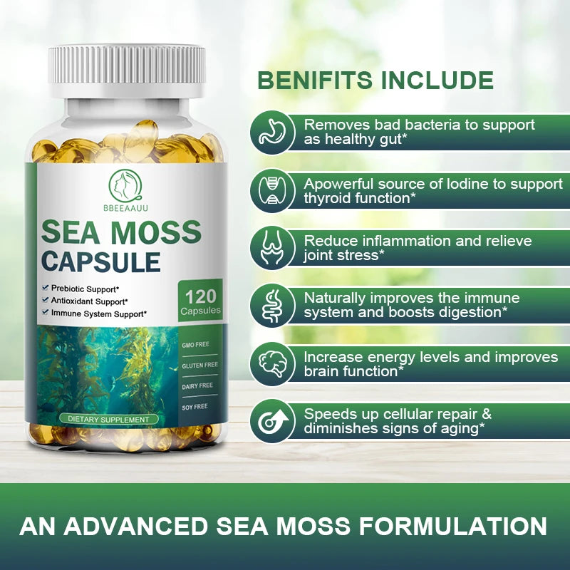 Beworths Sea Moss Capsule Immune Support And Thyroid Health