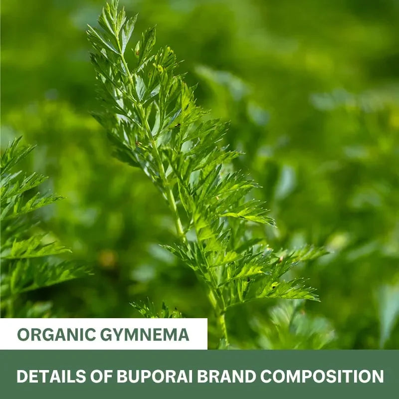 Organic Gymnema - Promotes Intestinal Health and Nutrient Absorption, Strengthens The Immune System, and Boosts Natural Energy