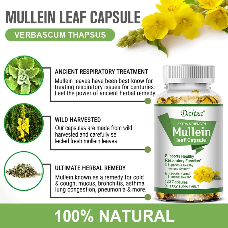 Mullein Extract Capsules, Suitable For Lung & Bronchial Cleanse for Smokers - Respiratory Health Support, Gut Health