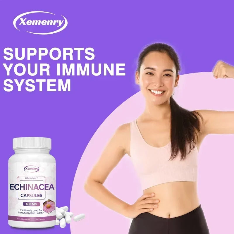 Echinacea Capsules 400 Mg - Supports Immune and Respiratory Health and Reduces The Length of Colds Supplement