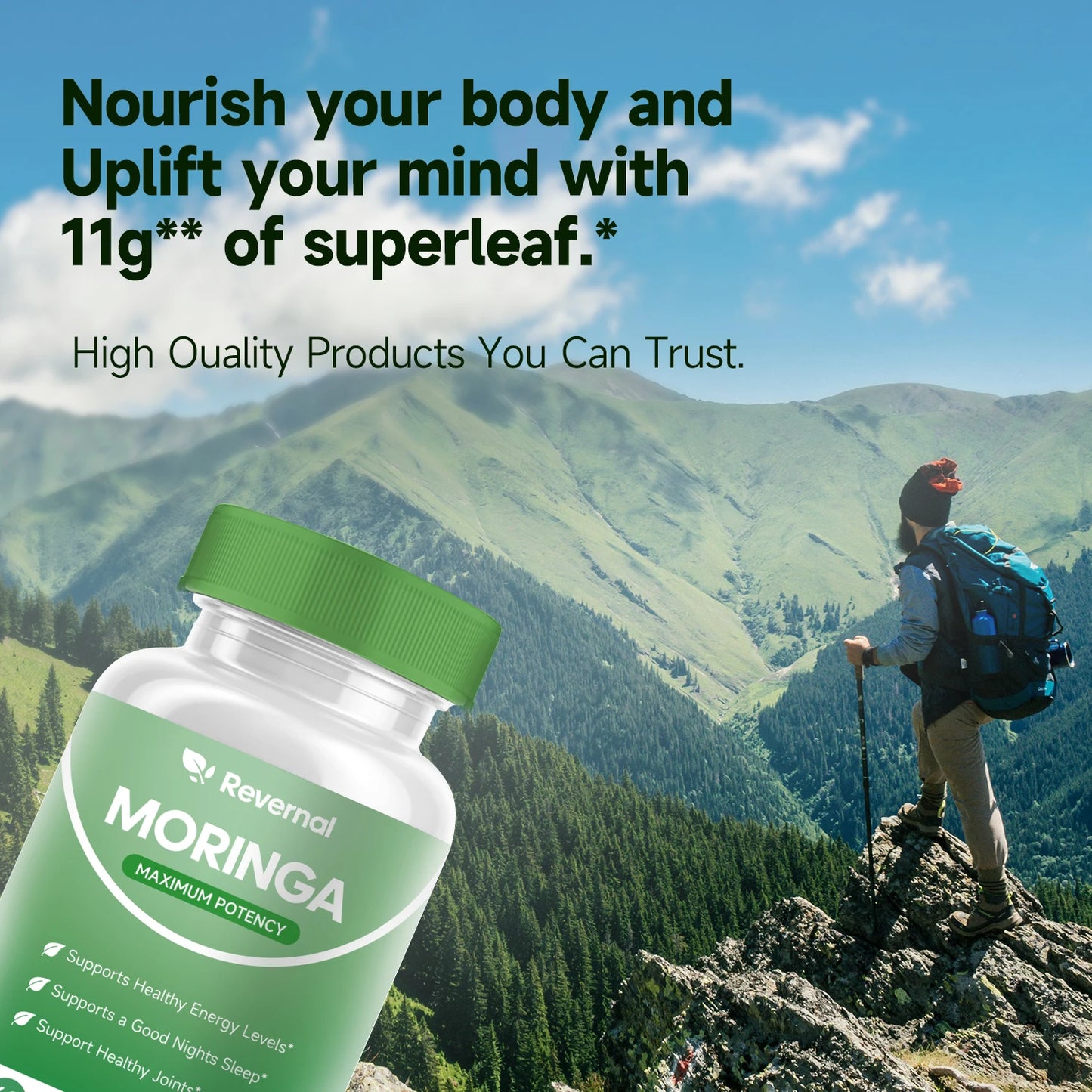 Quit Mood Moringa Powder Capsules 800mg Nutrient Rich Antioxidant