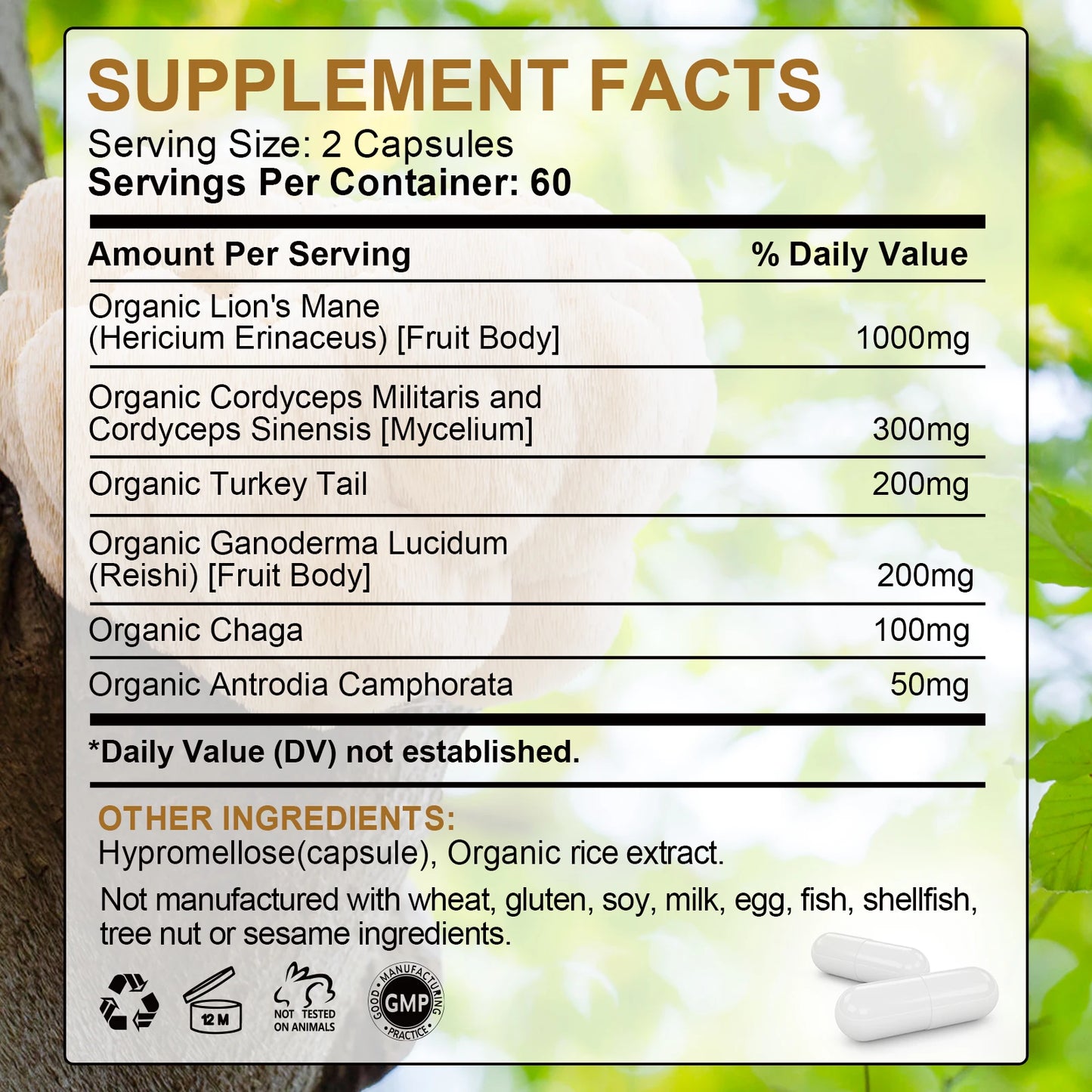Beworths Lion's Mane Cordyceps Sinensis Mushroom Capsule For Memory Cognition