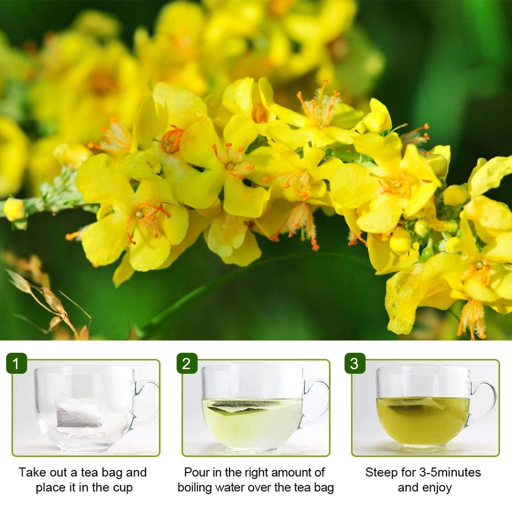 MINCH Herbal Mullein Leaf Drink for Lung Health and Detox