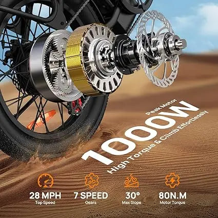URLIFE E20 1000W Electric Bike 48V Removable Battery Disc Brakes