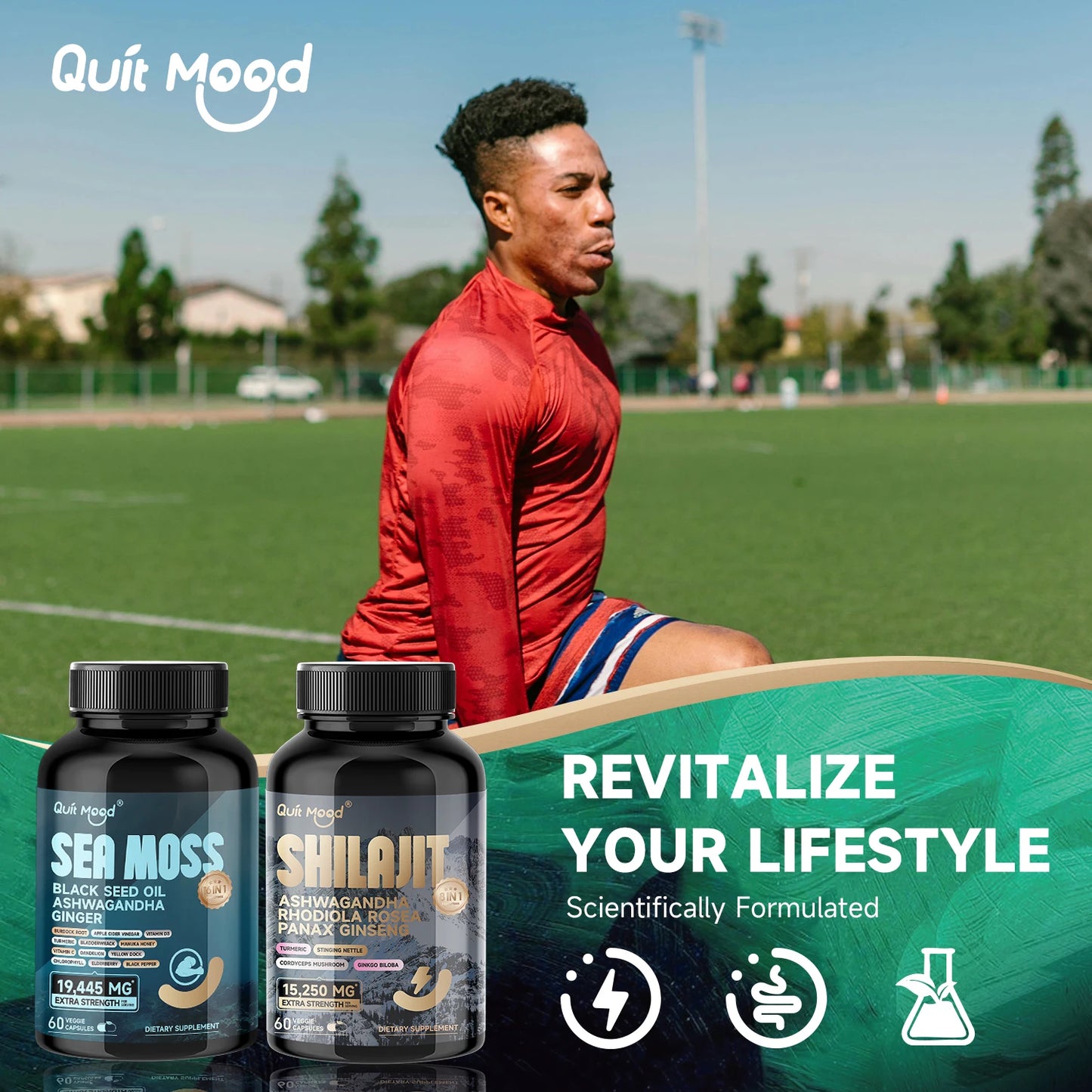 Quit Mood Shilajit Panax Ginseng Ashwagandha Rhodiola Turmeric Capsule
