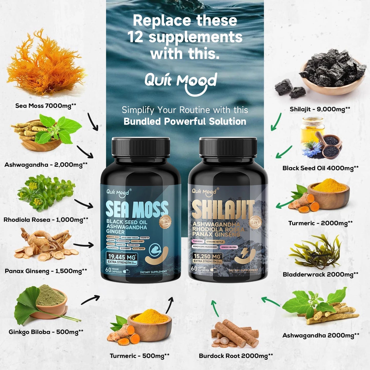 Quit Mood Shilajit Panax Ginseng Ashwagandha Rhodiola Turmeric Capsule