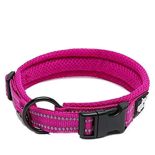 TrueLove Nylon Pet Collar Adjustable Padded Reflective Heavy Duty Training