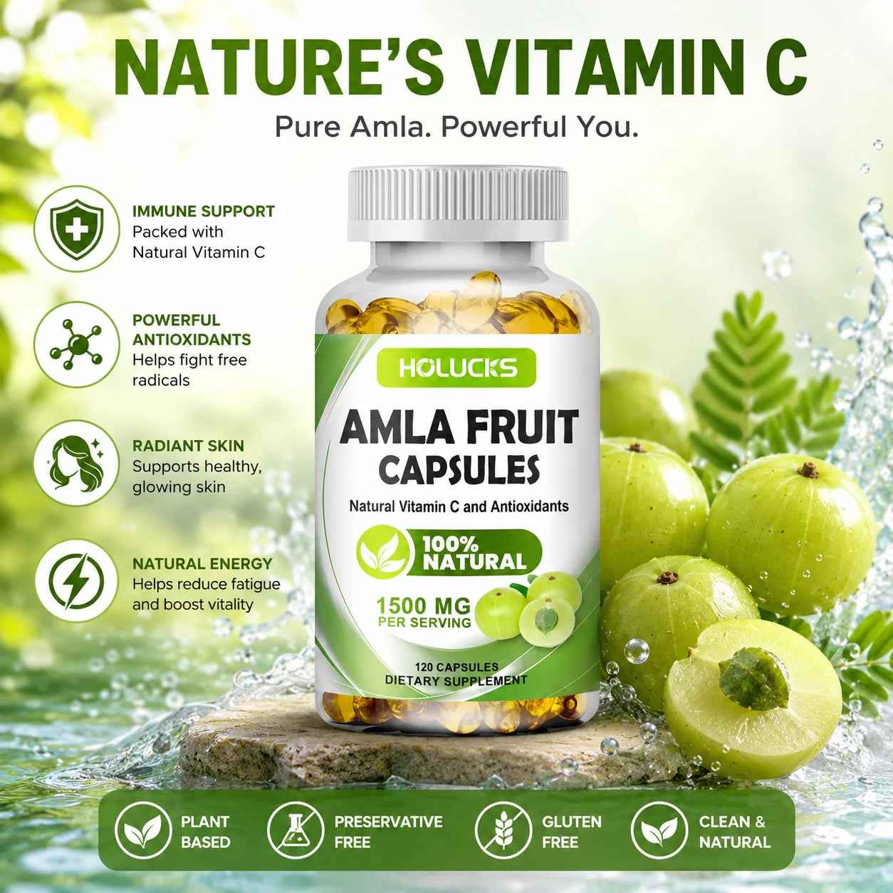 HOLUCKS Amla Capsules, with Organic Amla, Immune & Cellular Energy Support, Rejuvenation, Antioxidant, for Detox & Digestion