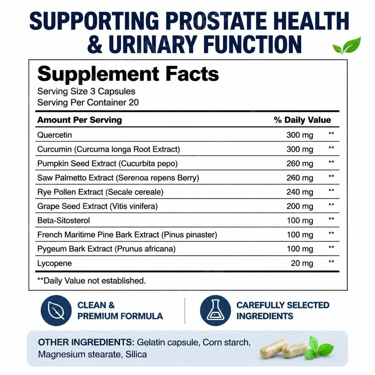 Docteat FlowRevive Prostate Health Capsules for Men with Quercetin, Supports Normal Urinary Flow & Bladder Comfort, 60 Capsules