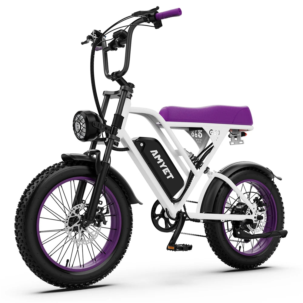 AMYET G60 1000W Electric Mountain Bike 48V 20Ah Ebike