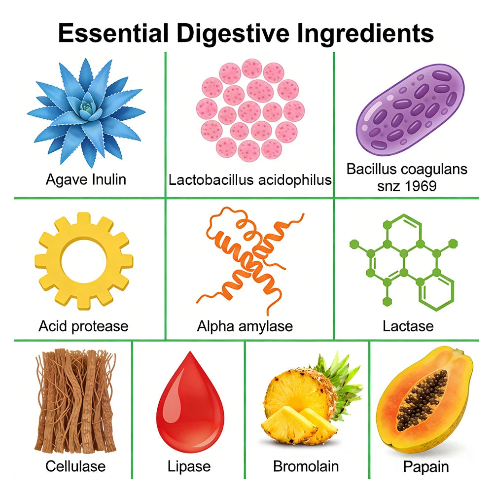 Digestive Enzymes for Bloating & Digestion-with Organic Prebiotics & Probiotics for Gut & Digestive Health, Non-GMO, Gluten Free