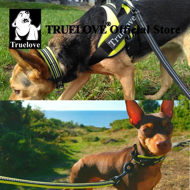 TrueLove Nylon Pet Collar Adjustable Padded Reflective Heavy Duty Training
