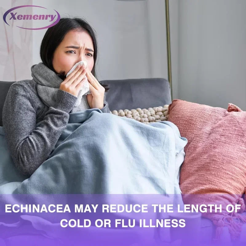 Echinacea Capsules 400 Mg - Supports Immune and Respiratory Health and Reduces The Length of Colds Supplement