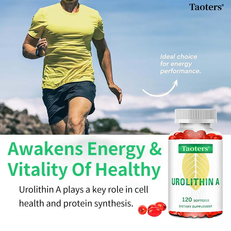 Antioxidant Supplement with Urolithin A - Natural Pomegranate Capsules for Heart Health Joint Support for Men and Women