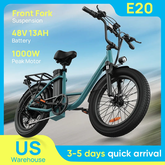 URLIFE E20 1000W Electric Bike 48V Removable Battery Disc Brakes