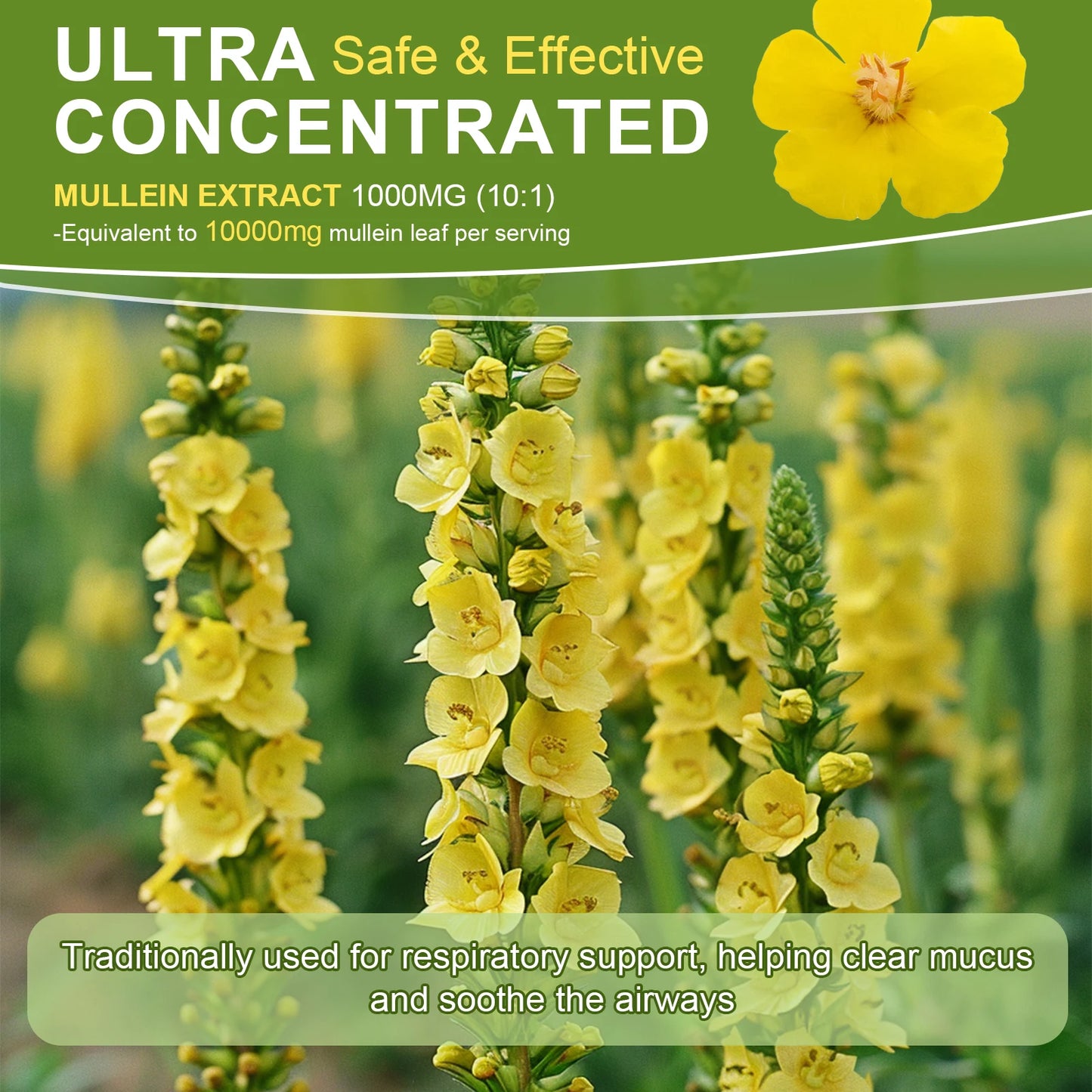 Mulittea Mullein Drops Lung Support And Immunity Formula