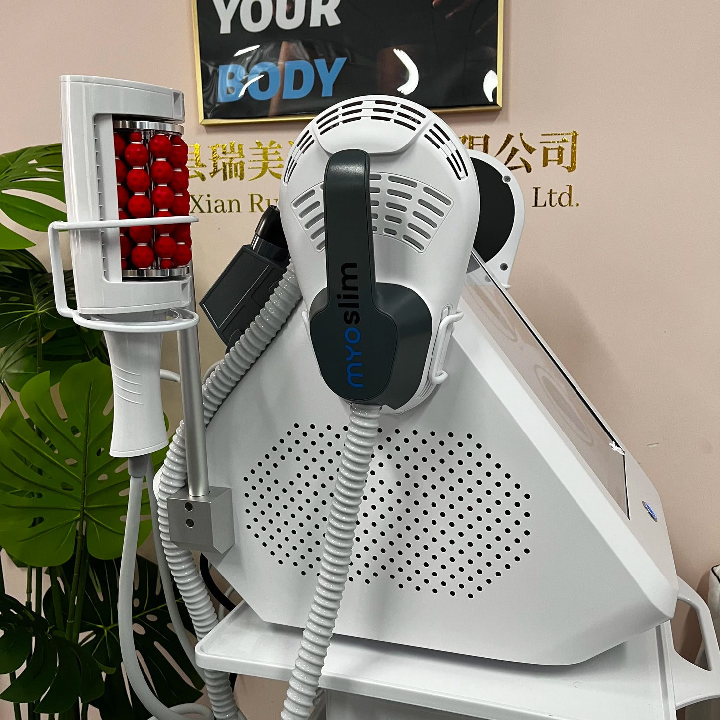 MYOSLIM 360 Degree Vacuum Massage Roller For Body Slimming