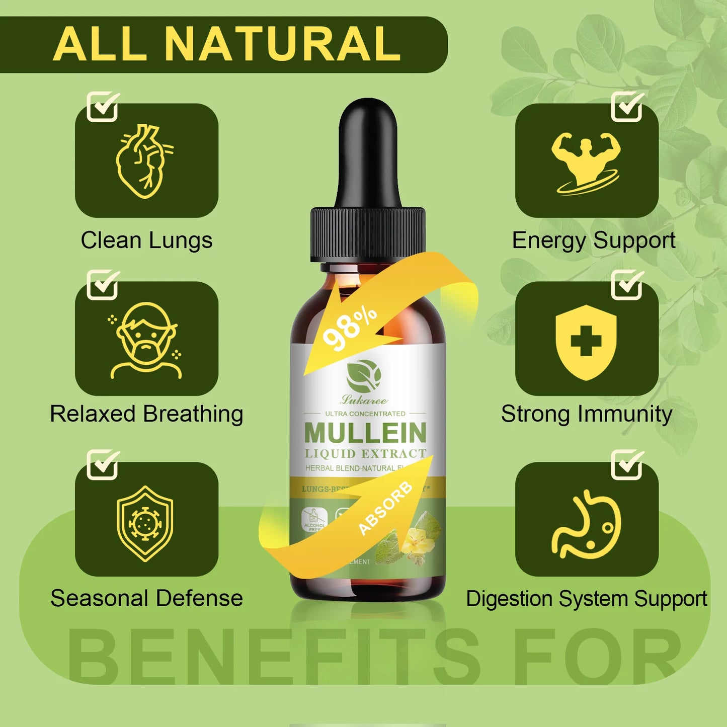 Mulittea Mullein Drops Lung Support And Immunity Formula