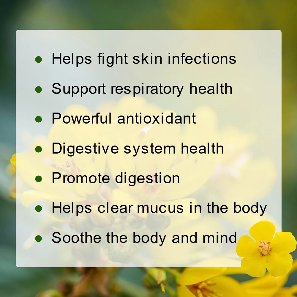 MINCH Herbal Mullein Leaf Drink for Lung Health and Detox
