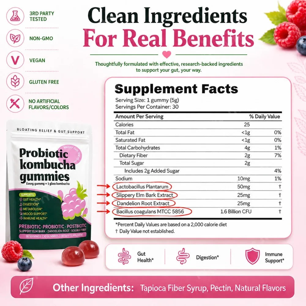 Probiotic Kombucha Gummies Every Gummy 1 Glass Kombucha Prebiotic Postbiotic Digestive Gut Health Vegan Berry Bliss 30 Gummies