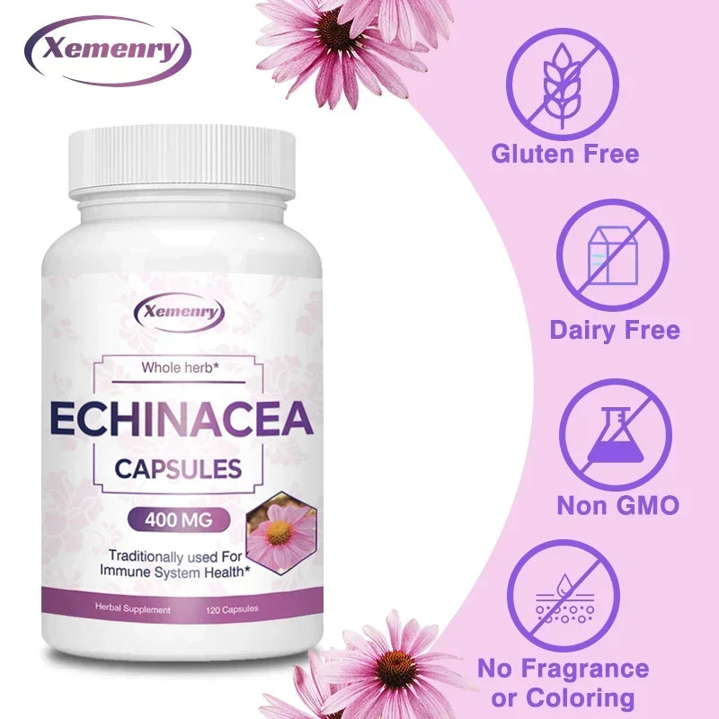 Echinacea Capsules 400 Mg - Supports Immune and Respiratory Health and Reduces The Length of Colds Supplement