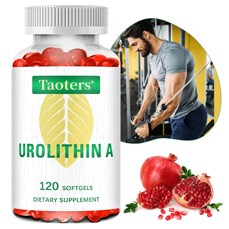 Antioxidant Supplement with Urolithin A - Natural Pomegranate Capsules for Heart Health Joint Support for Men and Women